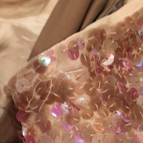 BCBG Maxazria sequin soft pink/plum lovely dress size10 silk needs some mending - Picture 12 of 14